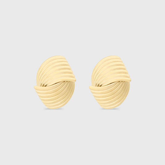 Winged Earrings in Unique Design