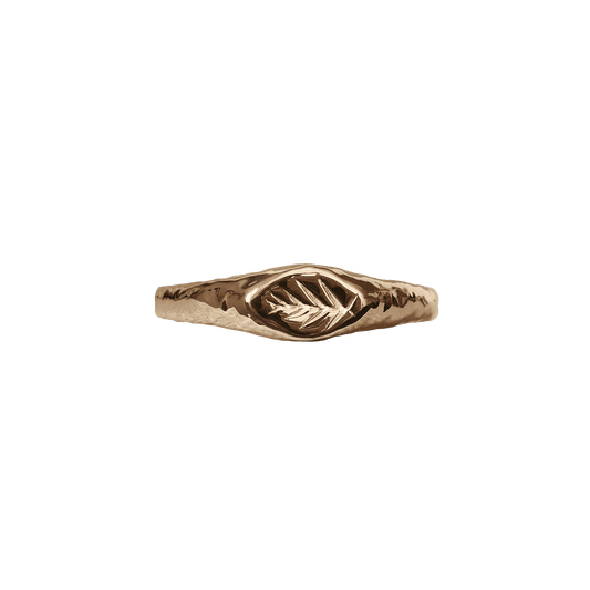 Slim Roman Style Signet Ring in Silver