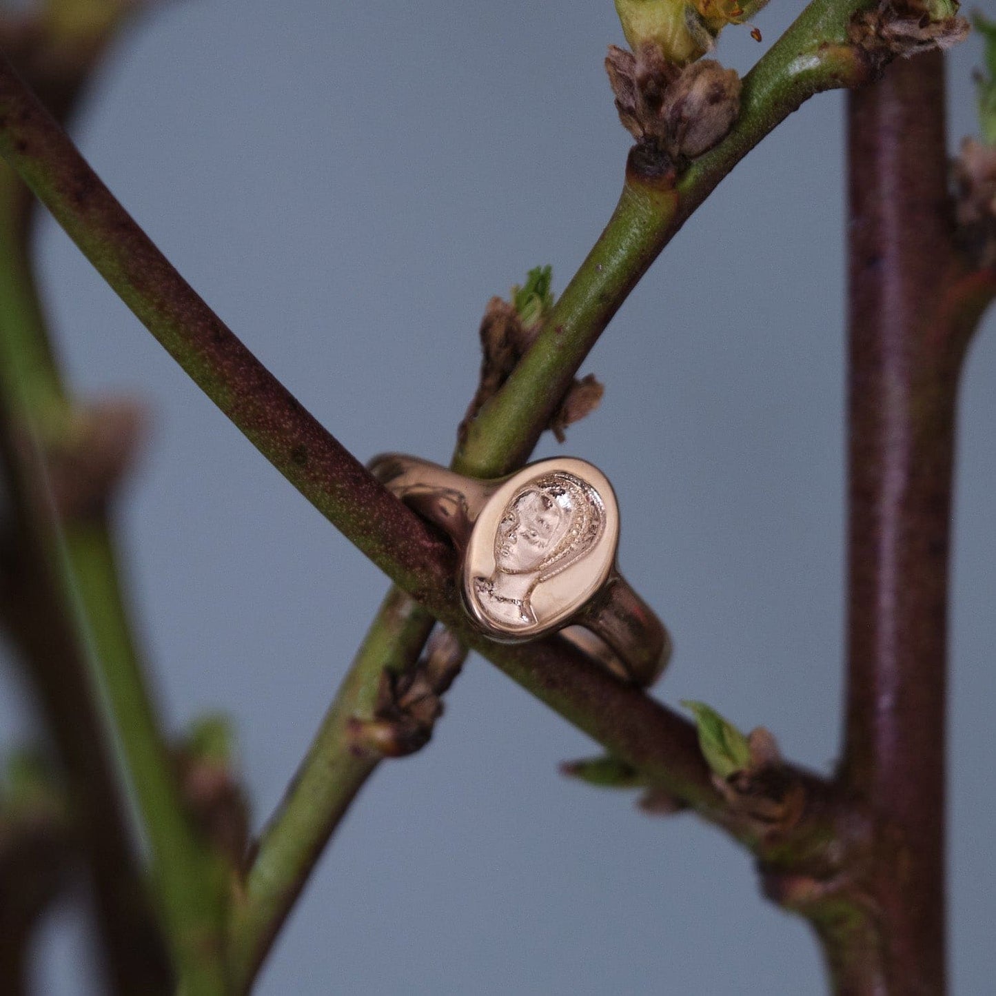 Solid Gold Signet Ring for Modern Style