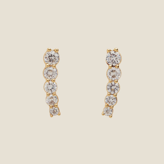 Crystal Pavé Climbing Ear Earrings