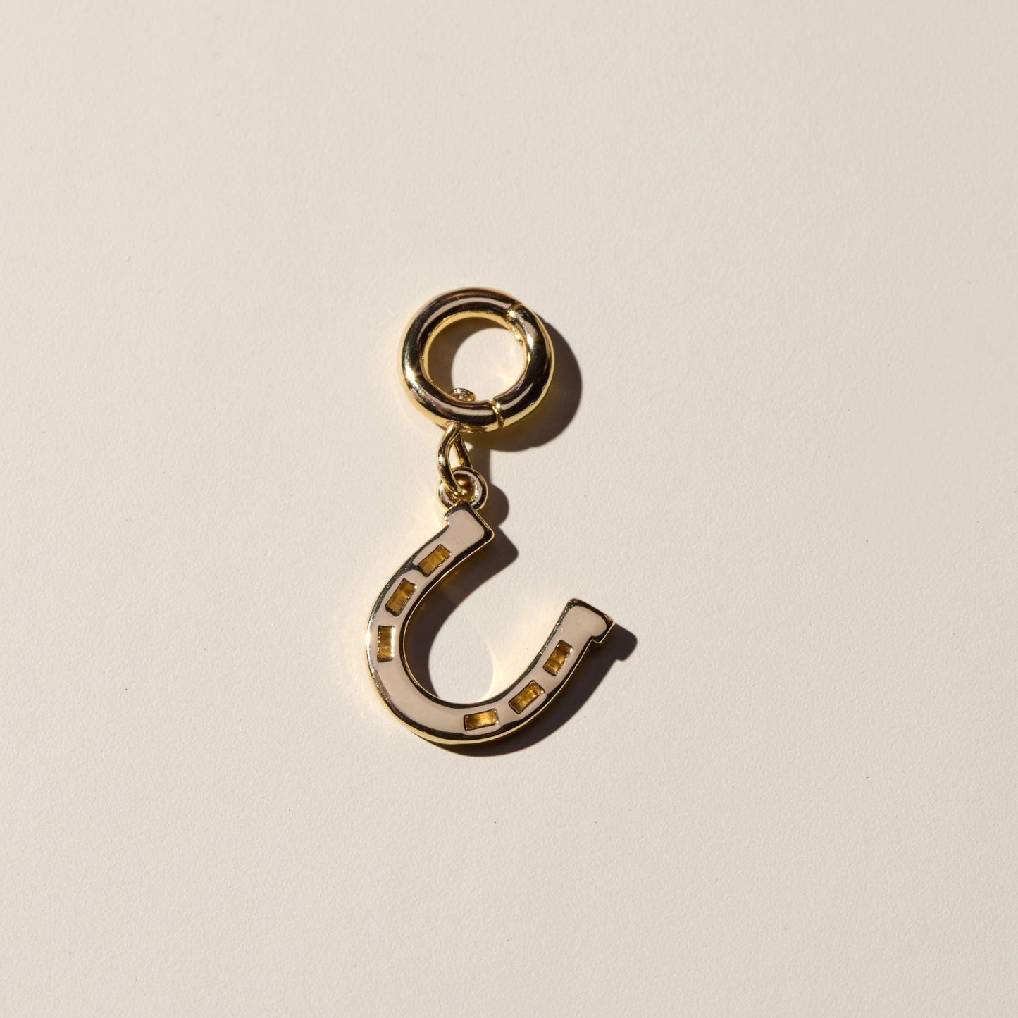 Horseshoe Charm in Silver Material Design