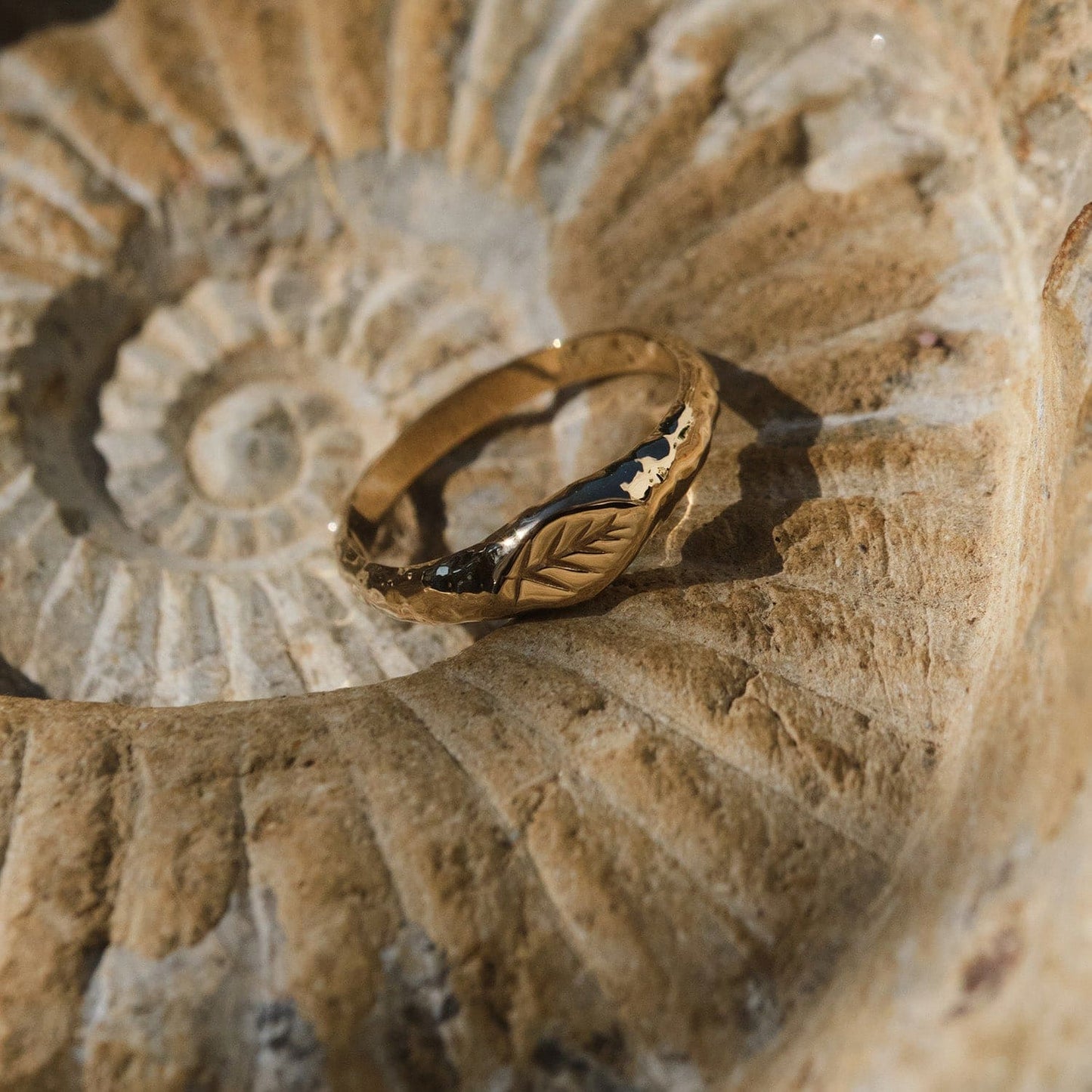 Slim Roman Style Signet Ring in Silver